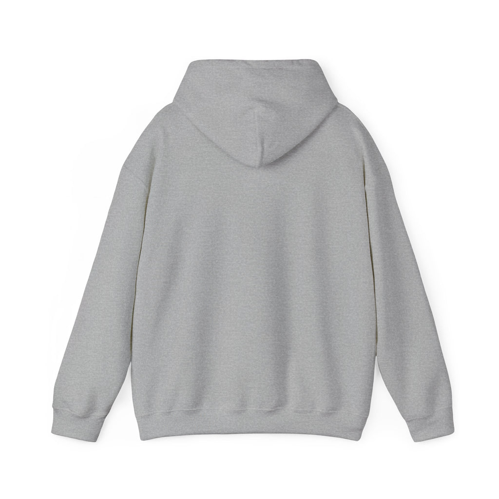 "I Know Whose I Am" 1 Peter 2:9-Unisex Heavy Blend™ Hooded Sweatshirt