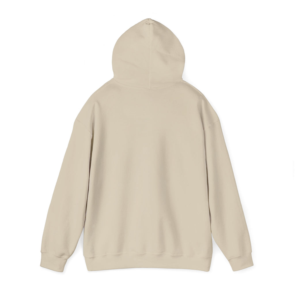 "I Know Whose I Am" 1 Peter 2:9-Unisex Heavy Blend™ Hooded Sweatshirt