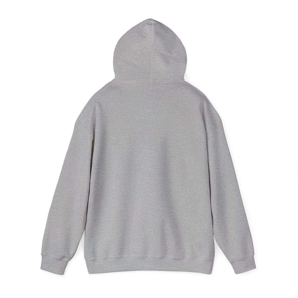 "I Know Whose I Am" 1 Peter 2:9-Unisex Heavy Blend™ Hooded Sweatshirt