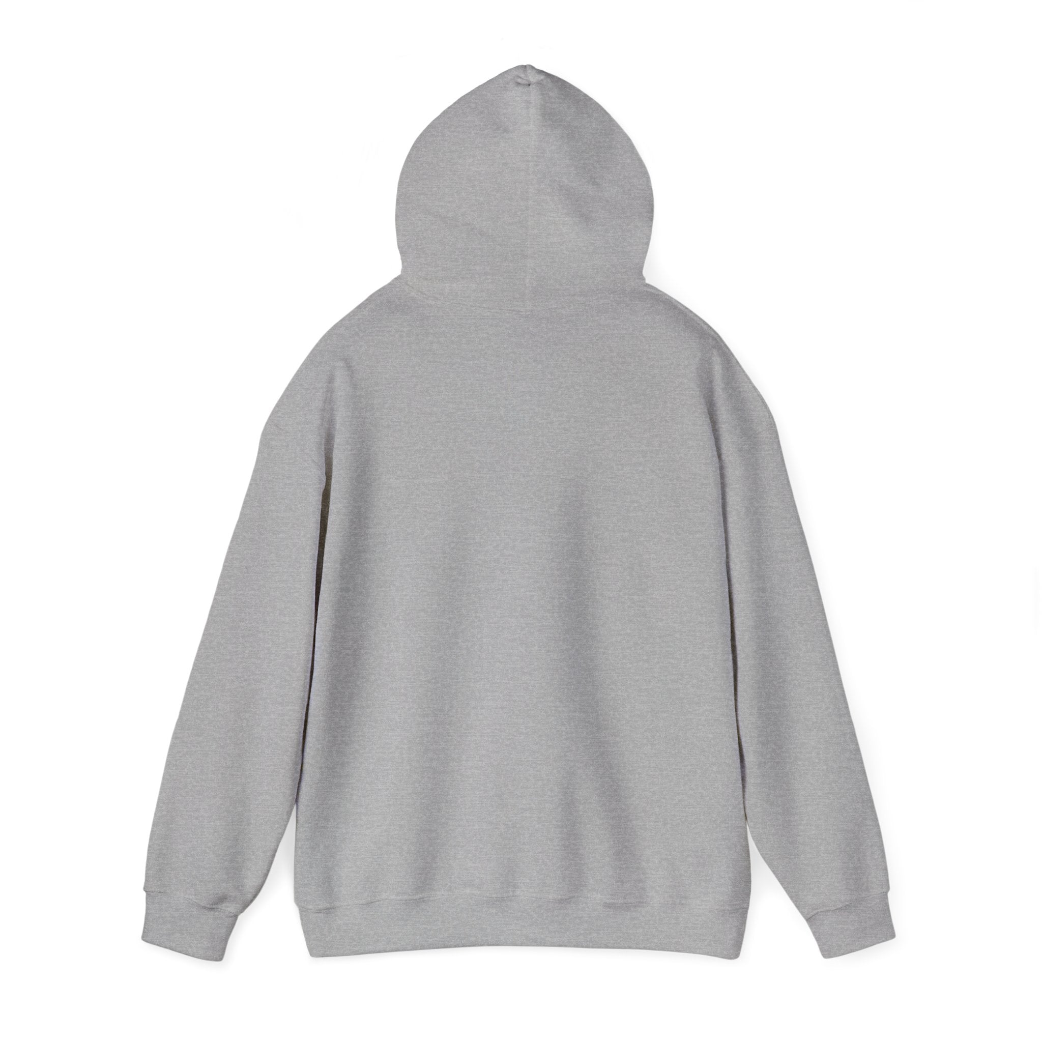 "I Know Whose I Am" 1 Peter 2:9-Unisex Heavy Blend™ Hooded Sweatshirt
