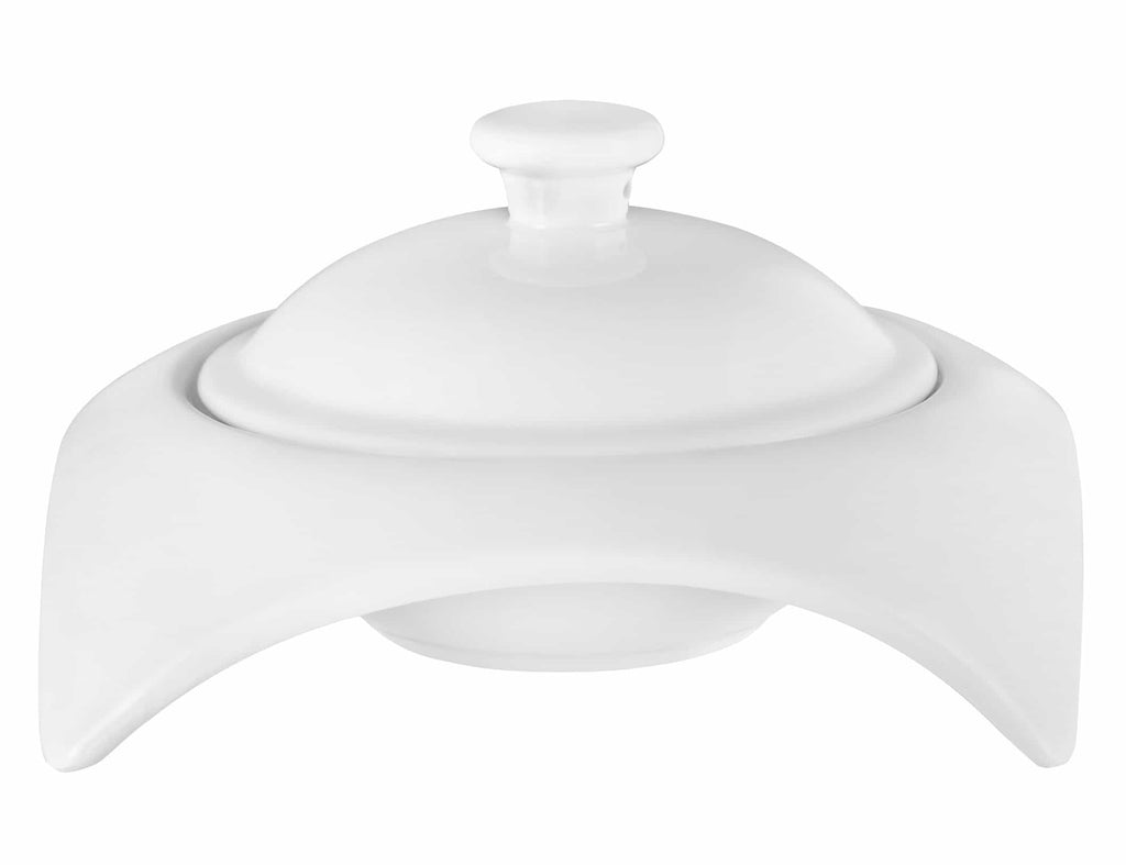 Elegance and Elevation/Square Porcelain Dinnerware Set